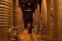 experience-image-10