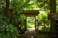 experience-image-14