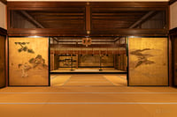 experience-image-9