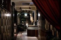 experience-image-3