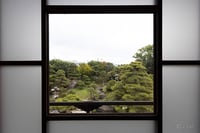 experience-image-10