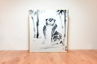 experience-image-18