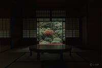 experience-image-17