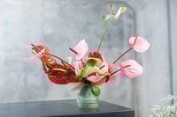 experience-image-10
