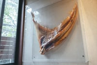 experience-image-12
