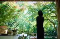 experience-image-23