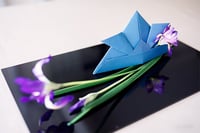 experience-image-4