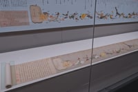 experience-image-26