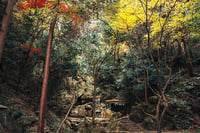experience-image-9