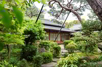 experience-image-1