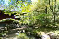 experience-image-13