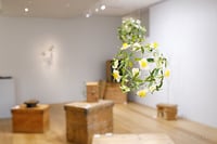 experience-image-1