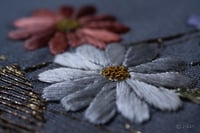 experience-image-12
