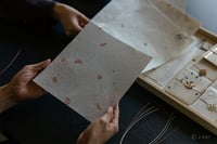 experience-image-10