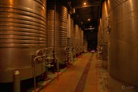 experience-image-13