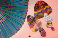 experience-image-10