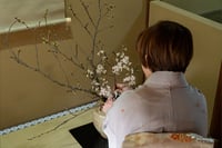 experience-image-3