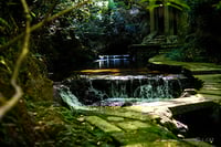 experience-image-1