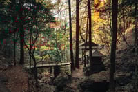 experience-image-11