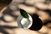 experience-image-2