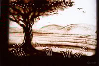 experience-image-11
