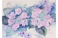 experience-image-12