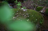 experience-image-27