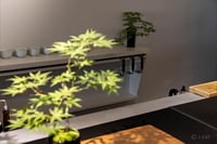 experience-image-11