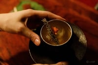 experience-image-2