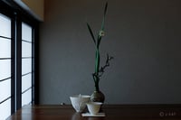 experience-image-15