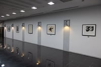 experience-image-4
