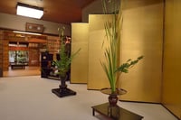 experience-image-26