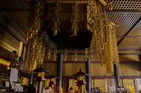 experience-image-9