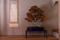 experience-image-13