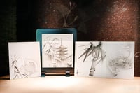 experience-image-7
