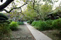 experience-image-12