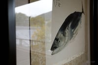 experience-image-22