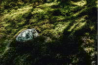 experience-image-13