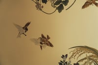 experience-image-10
