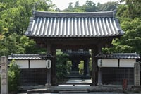 experience-image-5