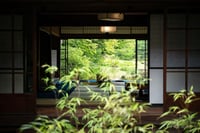 experience-image-12