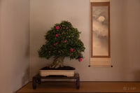 experience-image-2