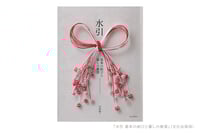 experience-image-20