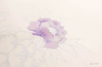 experience-image-2