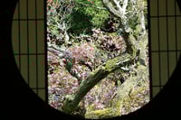 experience-image-3