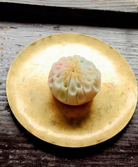 体験記画像 2