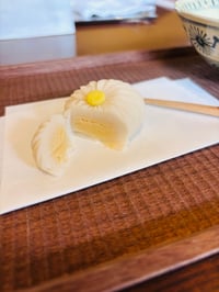 体験記画像 1