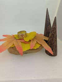体験記画像 1
