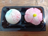 体験記画像 1