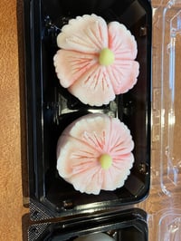 体験記画像 2